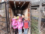 57 ZOO Praha, březen 2015.JPG