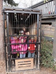 58 ZOO Praha, březen 2015.JPG