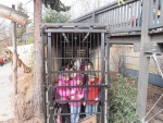 59 ZOO Praha, březen 2015.JPG