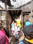 62 ZOO Praha, březen 2015.JPG
