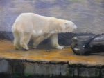 85 ZOO Praha, březen 2015.JPG