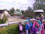 4 Zoo Liberec, květen 2019.jpg