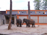 8 Zoo Liberec, květen 2019.jpg