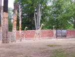 9 Zoo Liberec, květen 2019.jpg