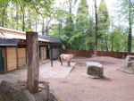 11 Zoo Liberec, květen 2019.jpg