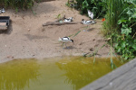 23 Pondělí 10.6.2019.jpg 23 Pondělí 10.6.2019.jpg