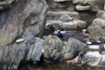 25 Pondělí 10.6.2019.jpg 25 Pondělí 10.6.2019.jpg